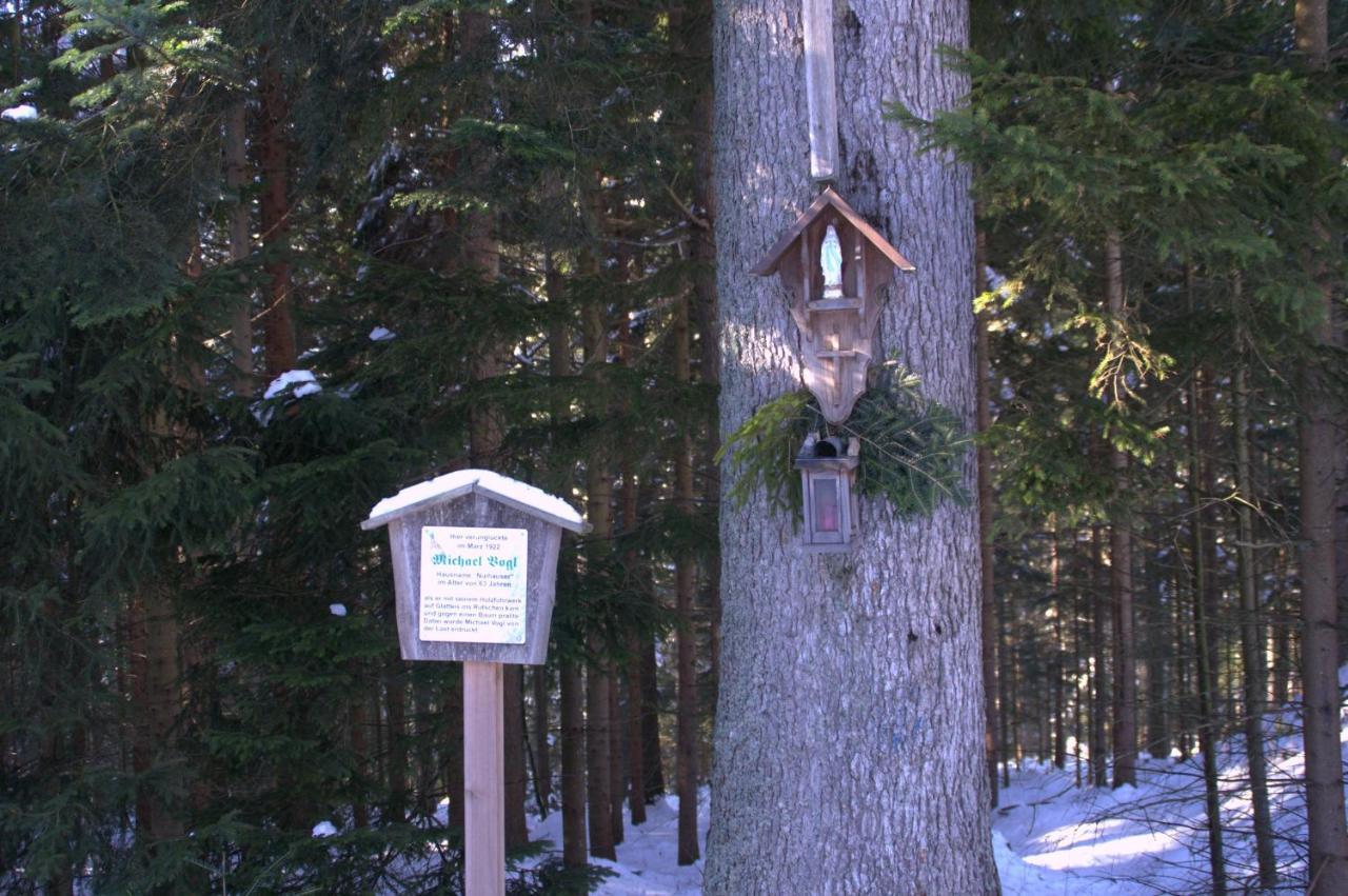 Erlebnispension Zum Wanderer Sepp Arnbruck Esterno foto